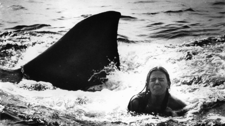 Cindy Grover and shark fin In 'Jaws 2'
