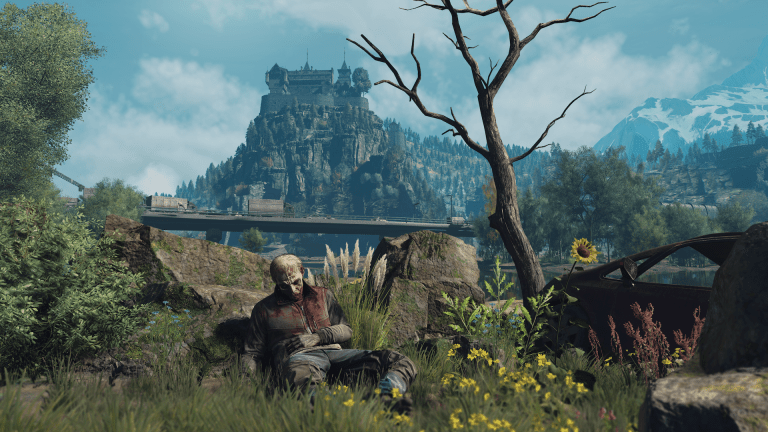 A screenshot from Dying Light: The Beast featuring a zombie in a pastoral environment.