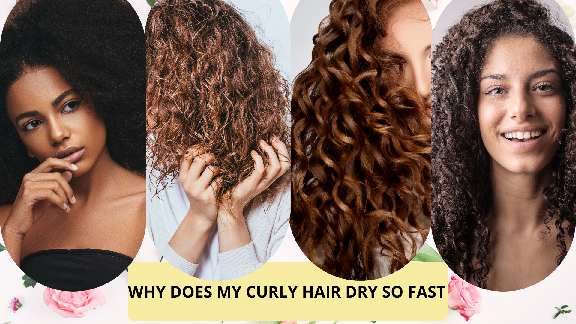 Why Does My Curly Hair Dry So Fast | Geekyplix